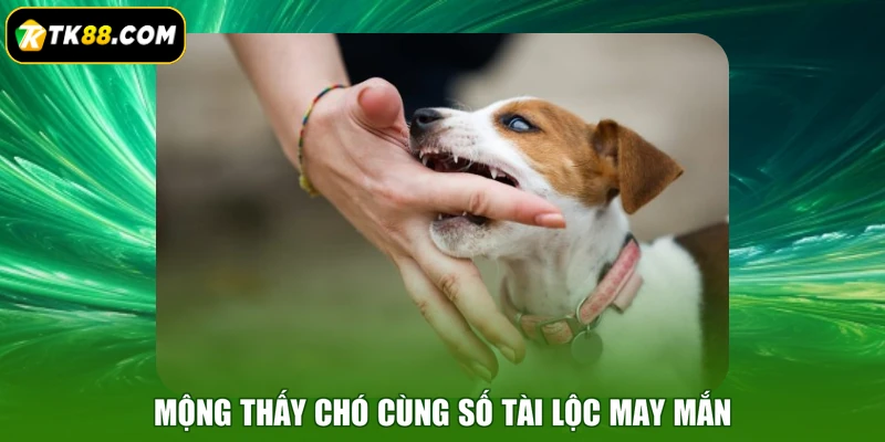 Mộng thấy chó cùng số tài lộc may mắn