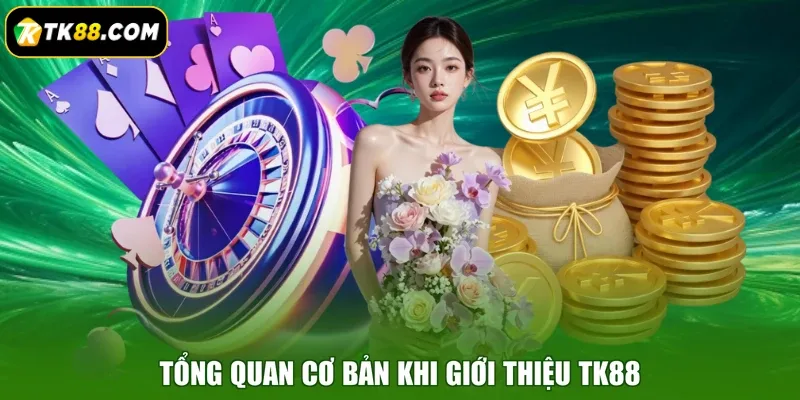 Tổng quan cơ bản khi giới thiệu TK88